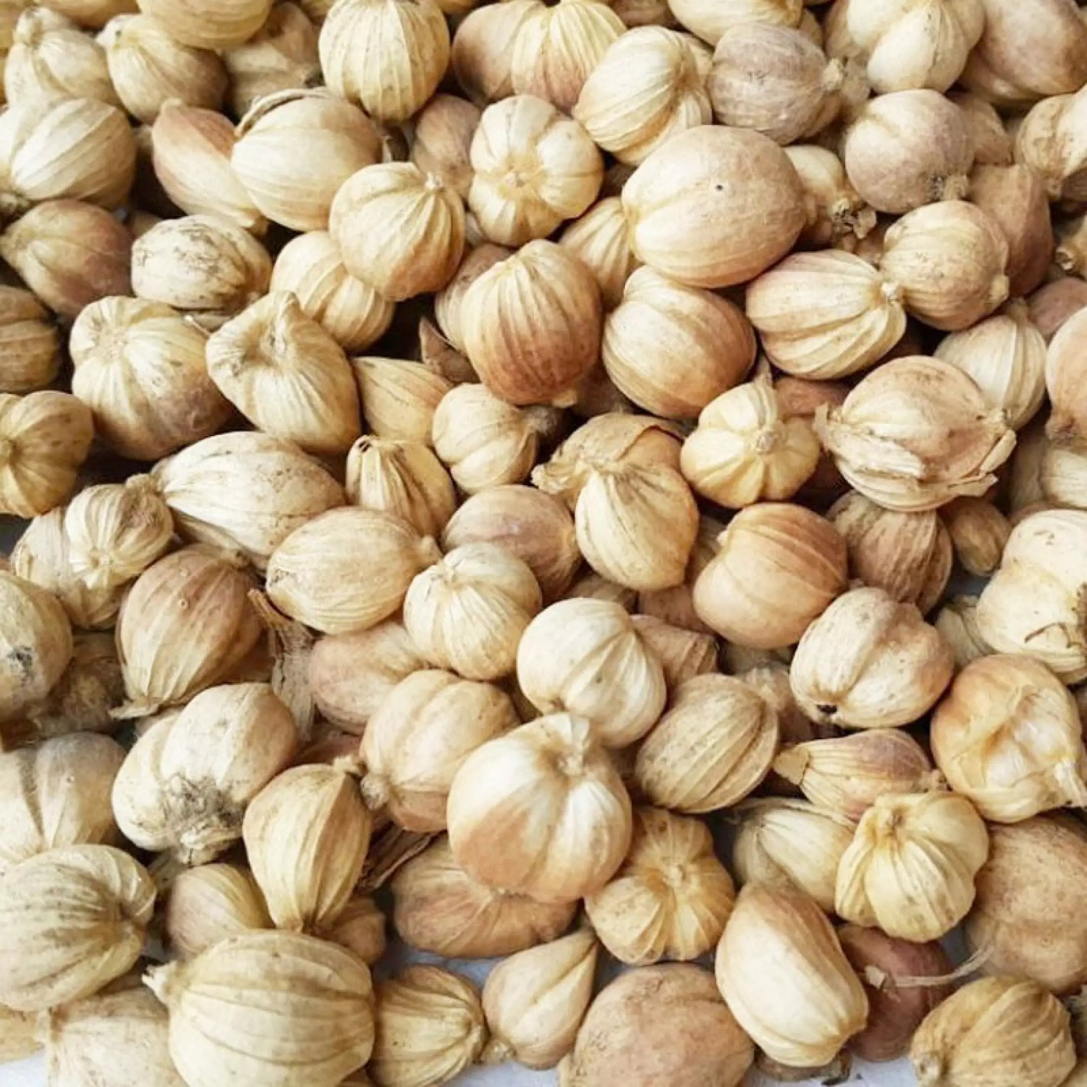 Organic Cardamom